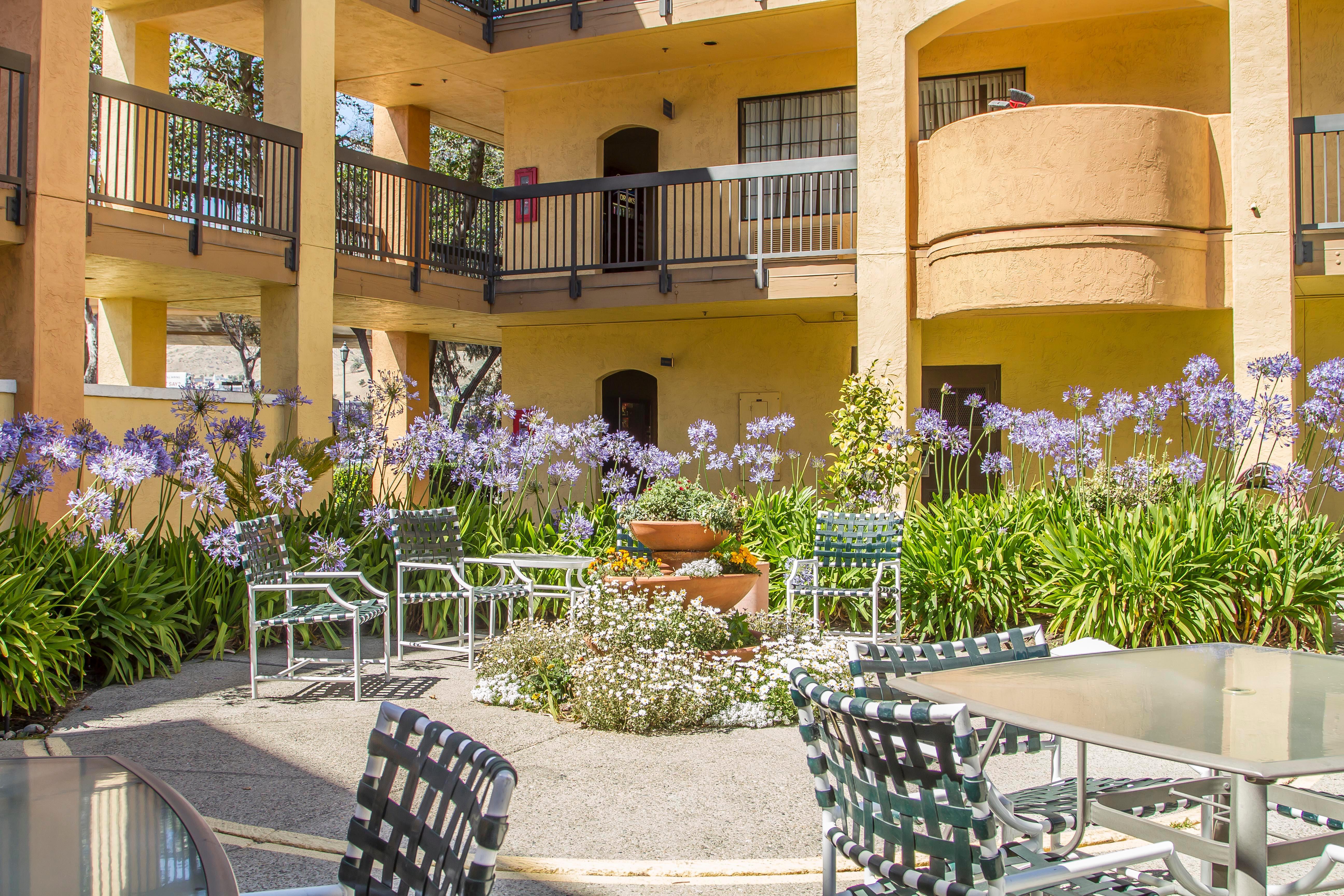 Comfort Inn & Suites San Francisco Airport North Selatan San Francisco Luaran gambar